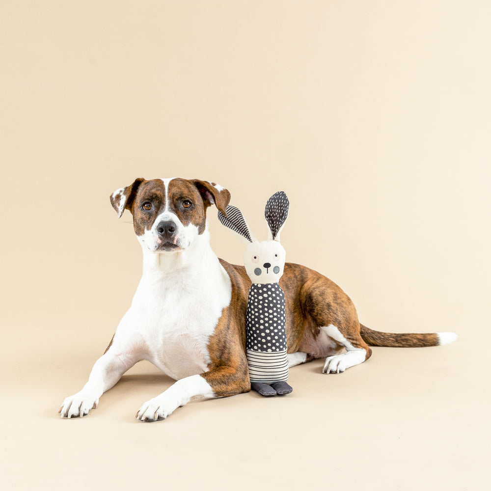 PETSHOP ALL EARS RABBIT CANVAS DOG TOY