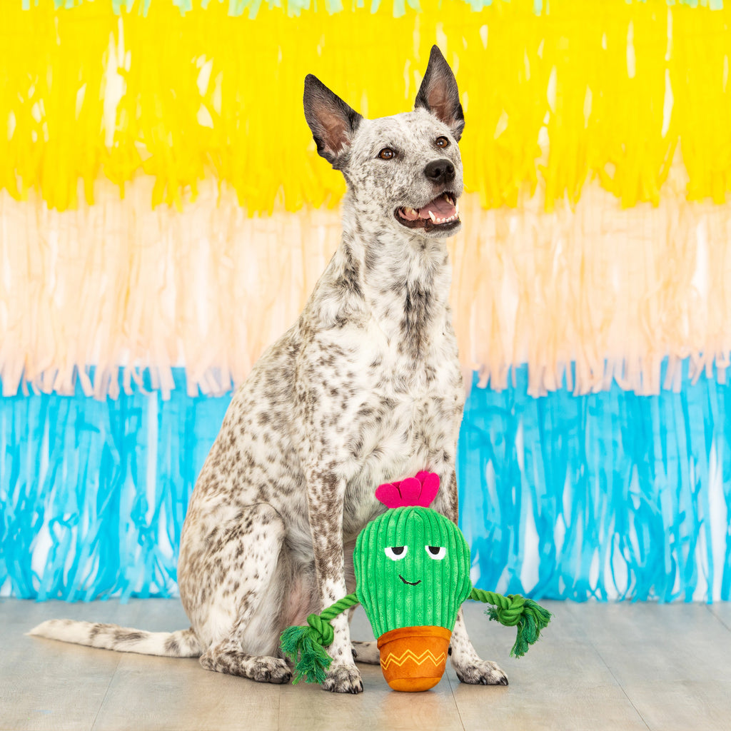 PETSHOP YOU GROW CHICA DOG TOY