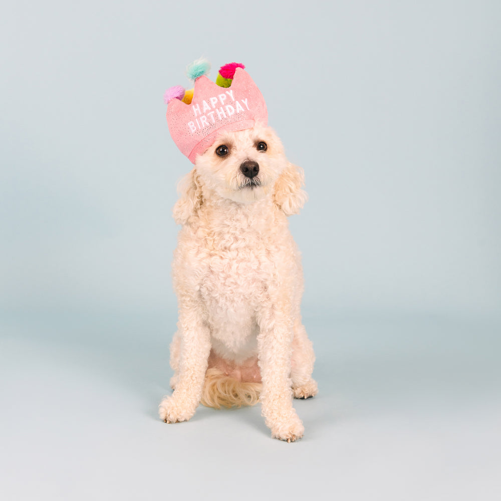 PETSHOP IF THE CROWN FITS DOG TOY