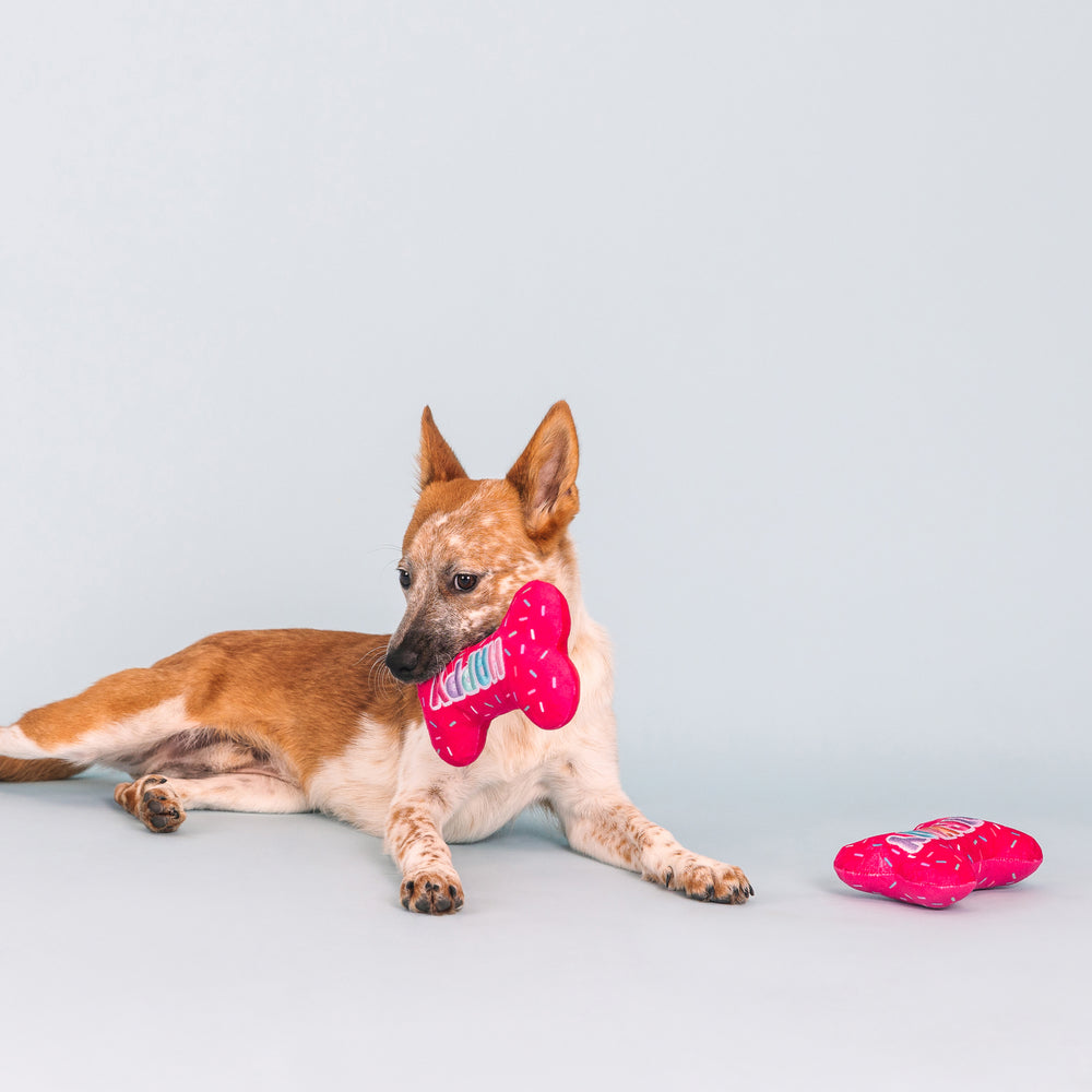 PETSHOP TIME FOR A CHANGE IN WEATHER DOG TOYS – PetShop.fringestudio