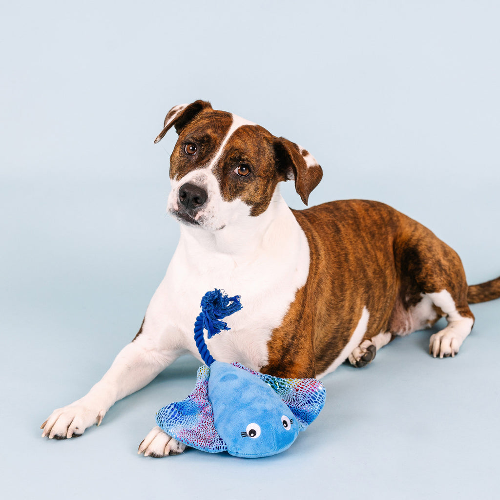 PETSHOP DO THE RIGHT STING DOG TOY