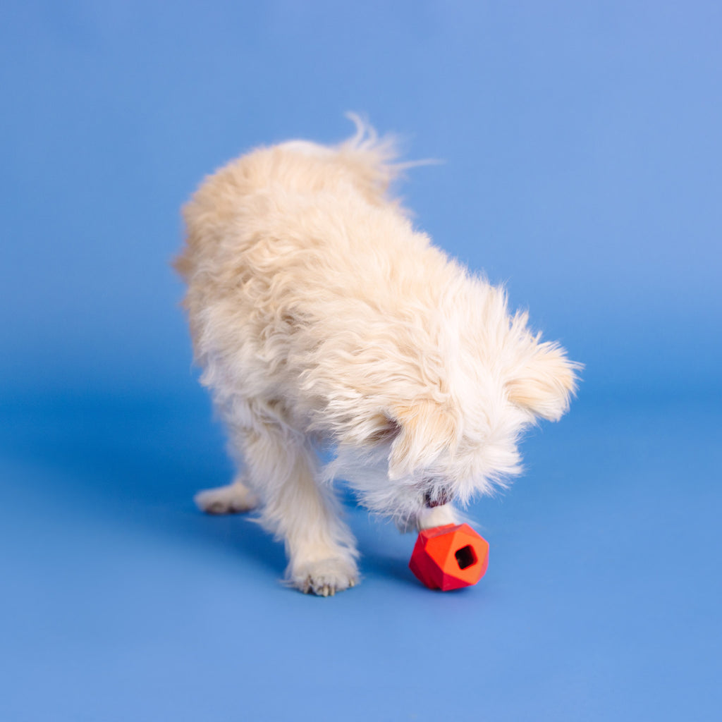 PETSHOP YOU'RE ADORA-BALL RED RUBBER DOG TOY