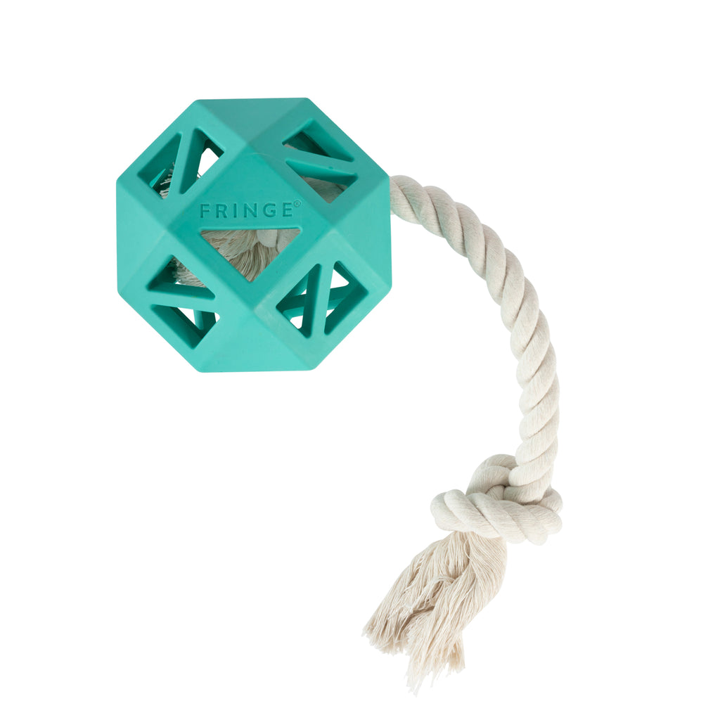 PETSHOP PULL MY WAY TURQUOISE RUBBER DOG TOY