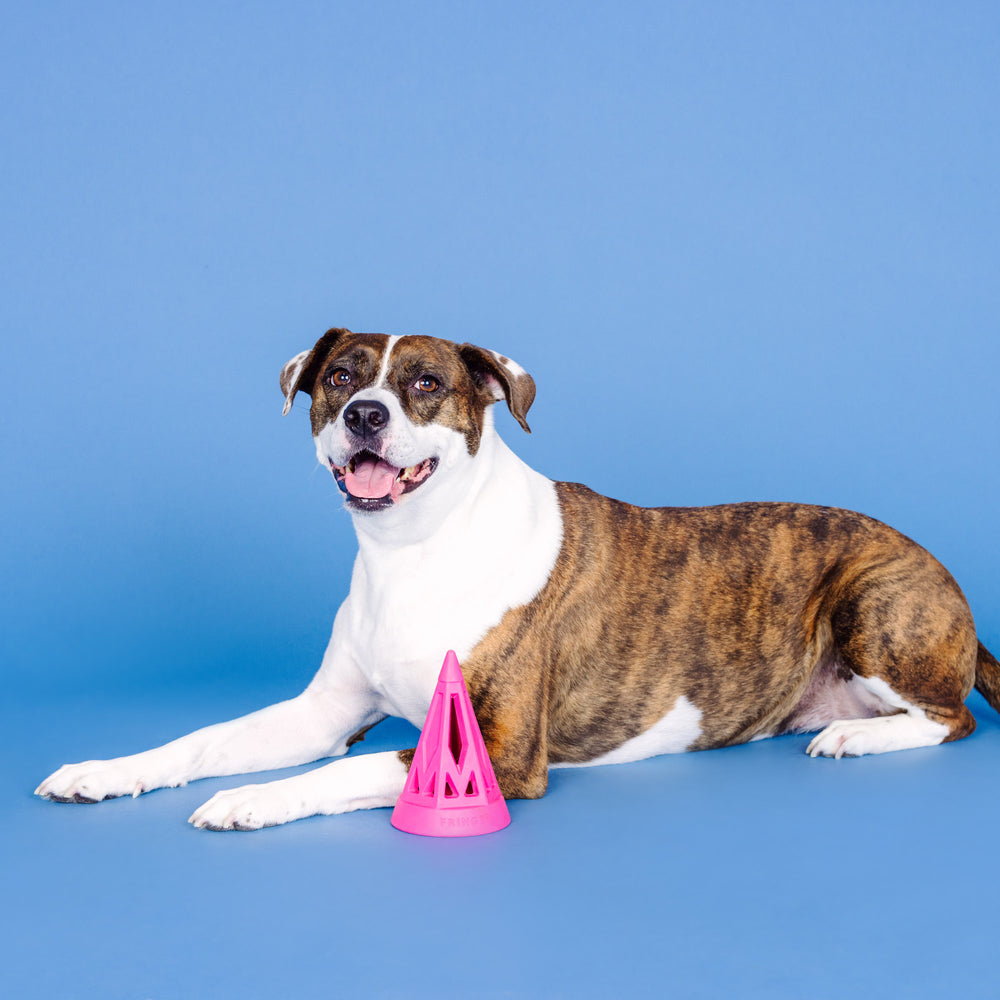 PETSHOP YOU CONE DO IT! HOT PINK RUBBER DOG TOY