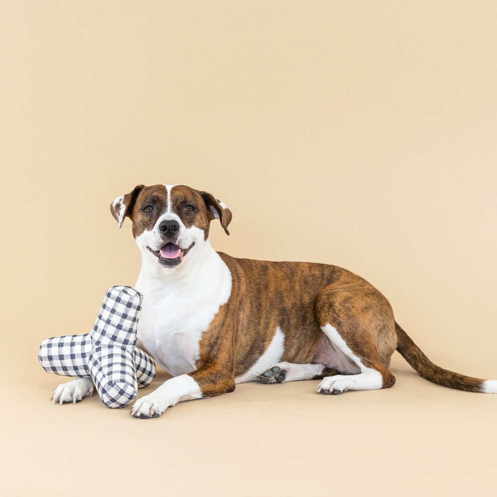 PETSHOP GAME ON PAINTED GINGHAM DOG TOY