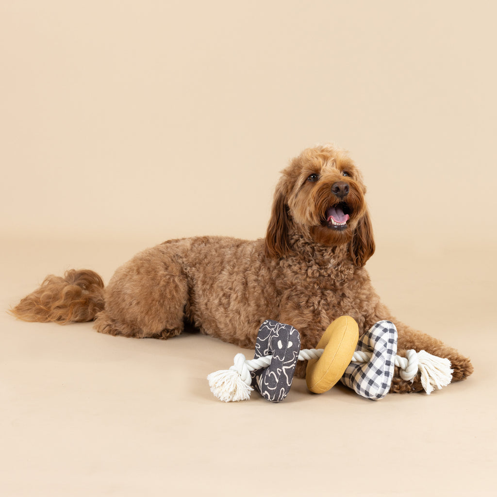 PETSHOP ROPED IN CANVAS DOG TOY