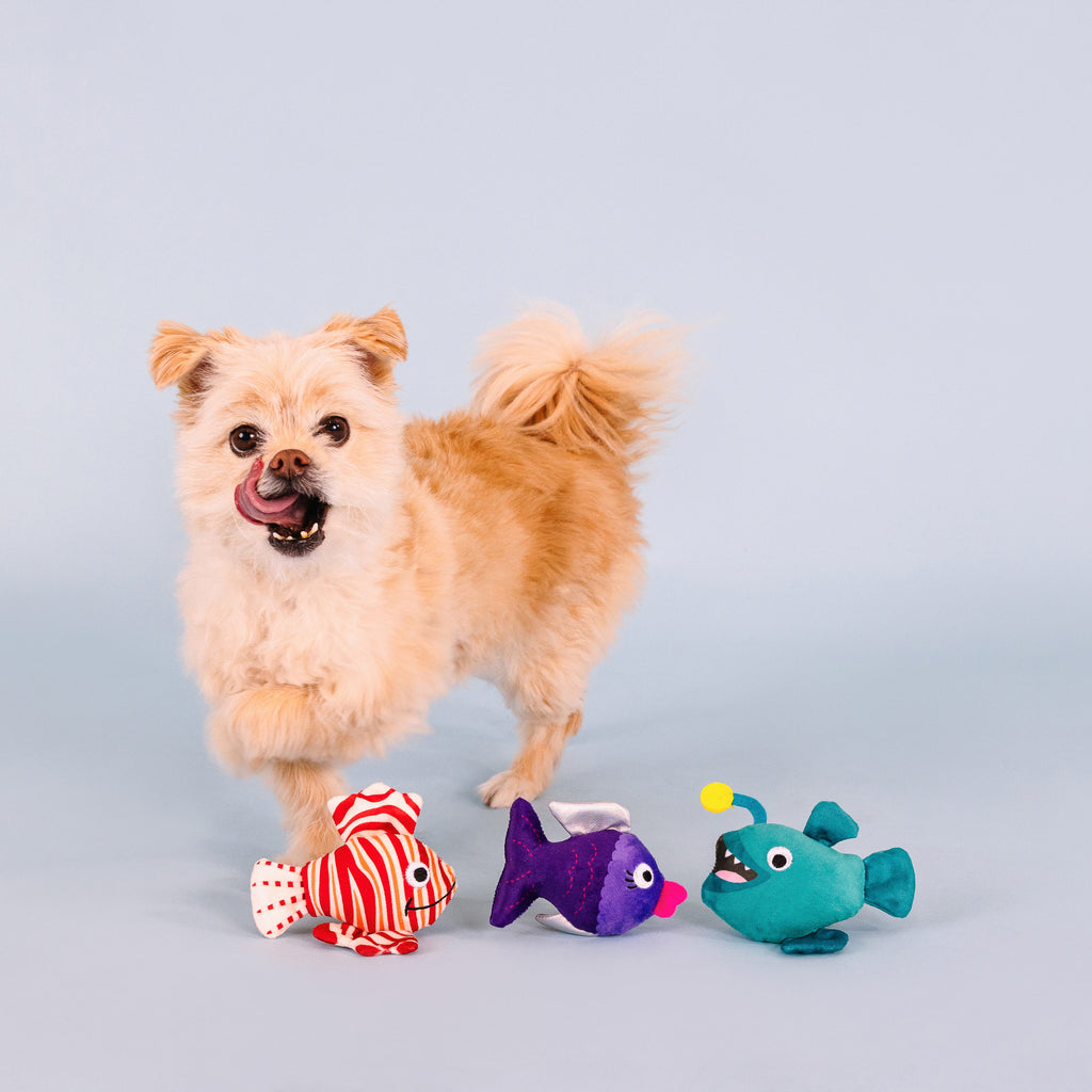 PETSHOP ANY FIN IS POSSIBLE MINI DOG TOYS