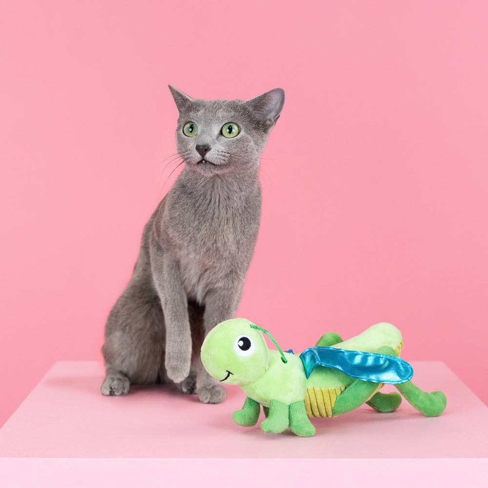 PETSHOP HOP ON BY CAT TOY