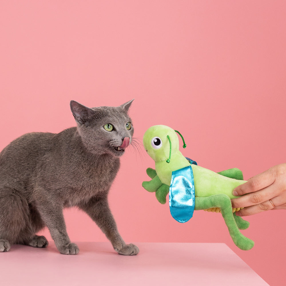 PETSHOP HOP ON BY CAT TOY