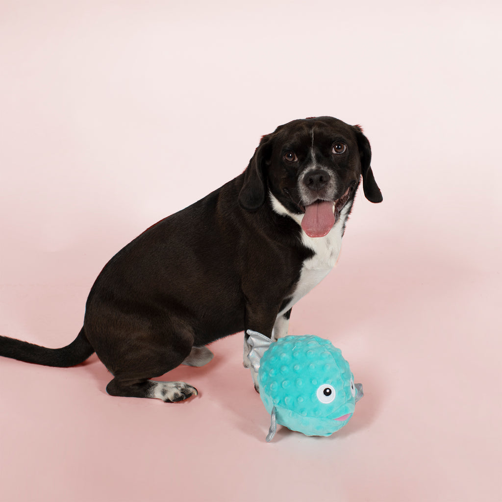 PETSHOP PUFFED UP BUBBLES DOG TOY