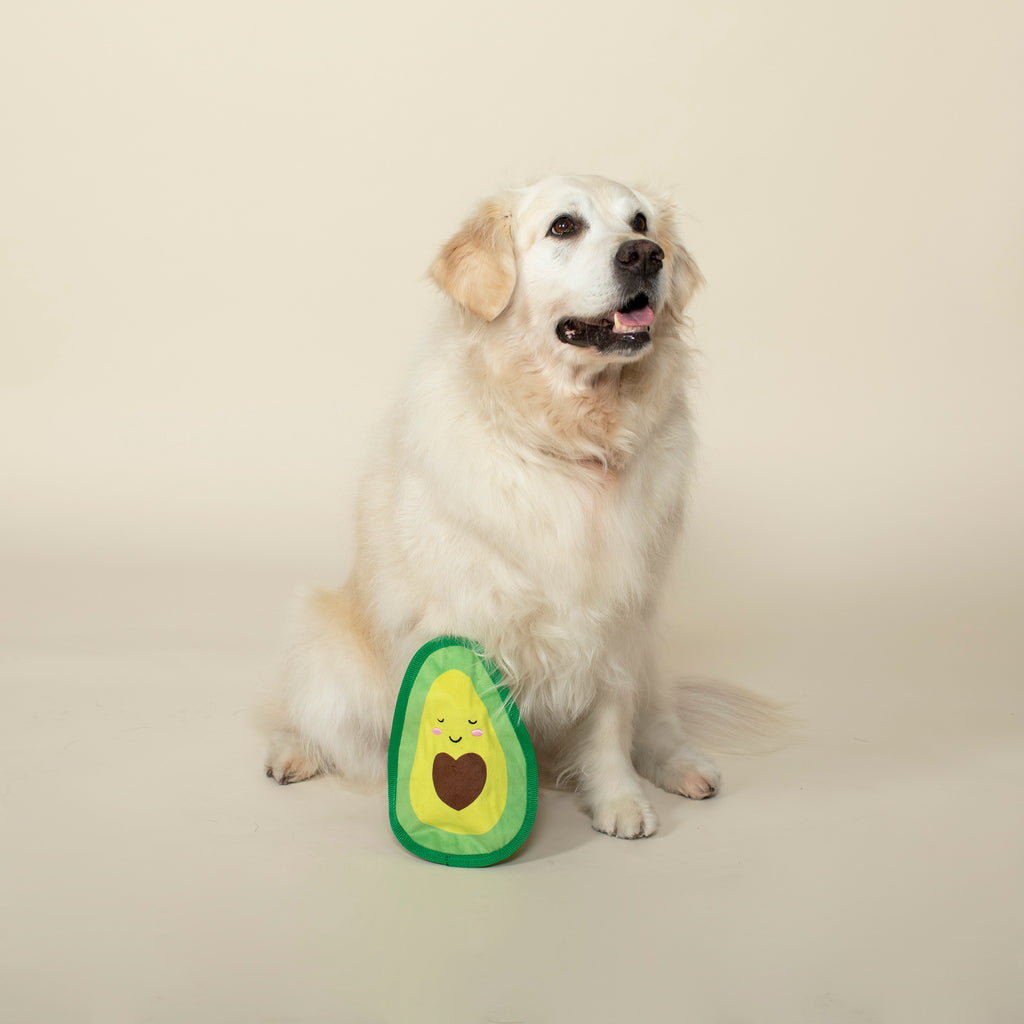 PETSHOP LET'S GUAC AND ROLL! DOG TOY